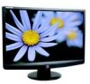 Troubleshooting, manuals and help for Acer E191W - eMachines bm - 19 Inch LCD Monitor