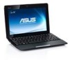 Asus Eee PC 1015B Support Question