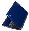Troubleshooting, manuals and help for Asus EPC1000HE-BLU002X