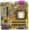 Get support for Asus M2NBP-VM-CSM