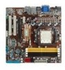 Asus M3N78-VM Support Question