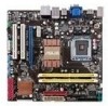 Get support for Asus P5QL-CM - Motherboard - Micro ATX