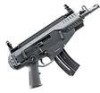 Beretta ARX160 22LR Pistol Support Question