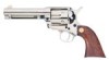 Troubleshooting, manuals and help for Beretta Stampede Nickel