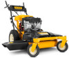 Troubleshooting, manuals and help for Cub Cadet CC 800Lawn Mower