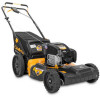 Troubleshooting, manuals and help for Cub Cadet SC300B Lawn Mower