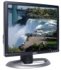 Troubleshooting, manuals and help for Dell 1704FPTT - 17 Inch - DVI/VGA LCD Monitor