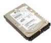Troubleshooting, manuals and help for Dell 9X902 - 36.7 GB Hard Drive