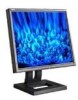 Troubleshooting, manuals and help for Dell E171FP - 17 Inch LCD Monitor
