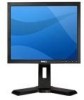 Troubleshooting, manuals and help for Dell P170S - 17 Inch LCD Monitor