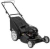 Troubleshooting, manuals and help for Electrolux 2-N-1 - 961320043 21 in Push Mower