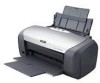 Troubleshooting, manuals and help for Epson R220 - Stylus Photo Color Inkjet Printer