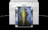Troubleshooting, manuals and help for Epson SureLab D700