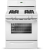 Troubleshooting, manuals and help for Frigidaire FFGF3021ZW
