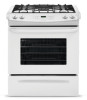 Troubleshooting, manuals and help for Frigidaire FFGS3025PW