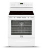 Troubleshooting, manuals and help for Frigidaire FGEF3058RW