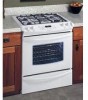 Get support for Frigidaire GLGS389FS - 30 Inch Slide-In Gas Range