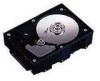 Troubleshooting, manuals and help for Fujitsu MAF3364FC - Enterprise 36.4 GB Hard Drive