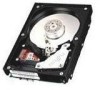 Troubleshooting, manuals and help for Fujitsu MAN3367FC - Enterprise 36.7 GB Hard Drive