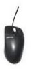 Get support for HP 170299-B22 - Compaq Carbon - Mouse