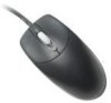 Get support for HP DD440B - Scroll Mouse