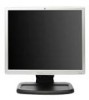 Troubleshooting, manuals and help for HP L1940 - 19 Inch LCD Monitor