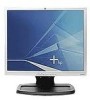 Troubleshooting, manuals and help for HP L1940T - 19 Inch LCD Monitor