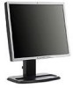 Troubleshooting, manuals and help for HP L1955 - 19 Inch LCD Monitor
