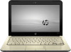 Troubleshooting, manuals and help for HP Pavilion dm1