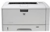 Troubleshooting, manuals and help for HP Q7543A - LaserJet 5200 B/W Laser Printer