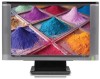 Troubleshooting, manuals and help for HP WF1907 - Compaq 19 Inch LCD Monitor