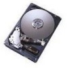 Troubleshooting, manuals and help for IBM IC35L040AVER07 - Deskstar 40 GB Hard Drive