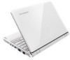 Troubleshooting, manuals and help for Lenovo 295933U - IdeaPad S12 2959