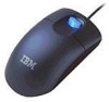 Troubleshooting, manuals and help for Lenovo 31P7405 - ThinkPlus Optical ScrollPoint Mouse