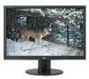 Troubleshooting, manuals and help for LG L226WTX-BF - LG - 22 Inch LCD Monitor