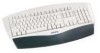 Get support for Memorex 32021426 - TS 1500 Wired Keyboard