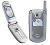 Get support for Motorola e815 - Cell Phone 40 MB
