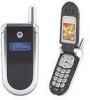 Get support for Motorola V180 - Cell Phone 1.8 MB