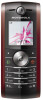 Motorola W208 New Review