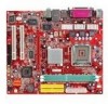 MSI PM8M3-V Support Question