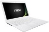 Troubleshooting, manuals and help for MSI S30