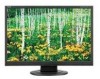 Troubleshooting, manuals and help for NEC AS221WM - AccuSync - 22 Inch LCD Monitor