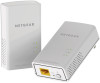 Troubleshooting, manuals and help for Netgear PL1010