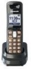 Get support for Panasonic KX-TGA641T - Cordless Extension Handset