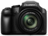 Troubleshooting, manuals and help for Panasonic LUMIX FZ80