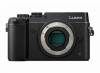 Troubleshooting, manuals and help for Panasonic LUMIX GX8