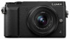 Troubleshooting, manuals and help for Panasonic LUMIX GX85
