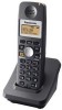Troubleshooting, manuals and help for Panasonic TD4858868 - 2.4GHz Accessory Handset