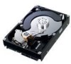 Get support for Samsung HD103SI - SpinPoint F2EG Desktop Class 1 TB Hard Drive