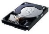 Troubleshooting, manuals and help for Samsung HD103UI - EcoGreen F1 DT 1 TB Hard Drive